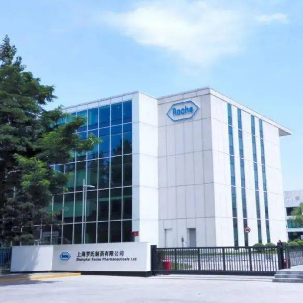 Roche Pharmaceutical Project