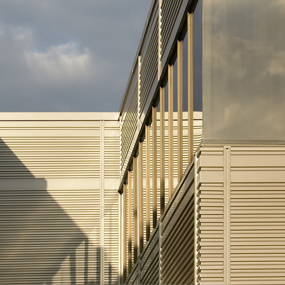 Exterior wall veneer system