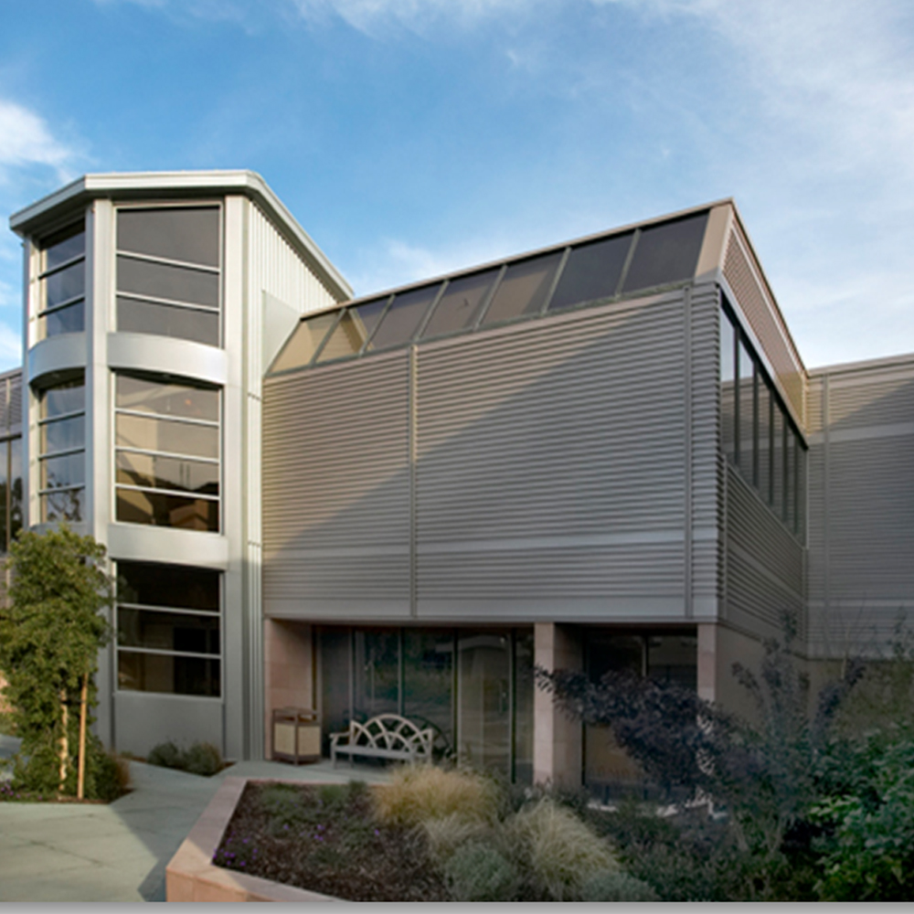 Exterior wall veneer system