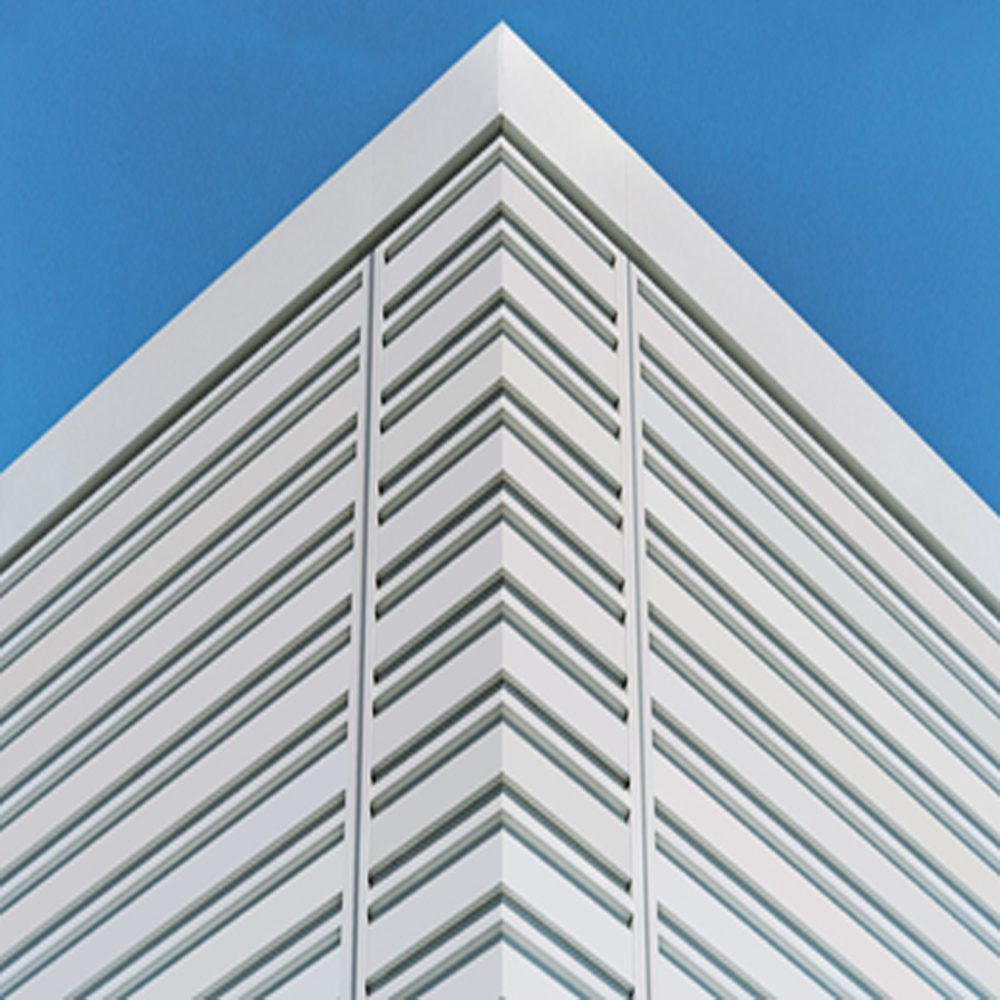 Exterior wall veneer system